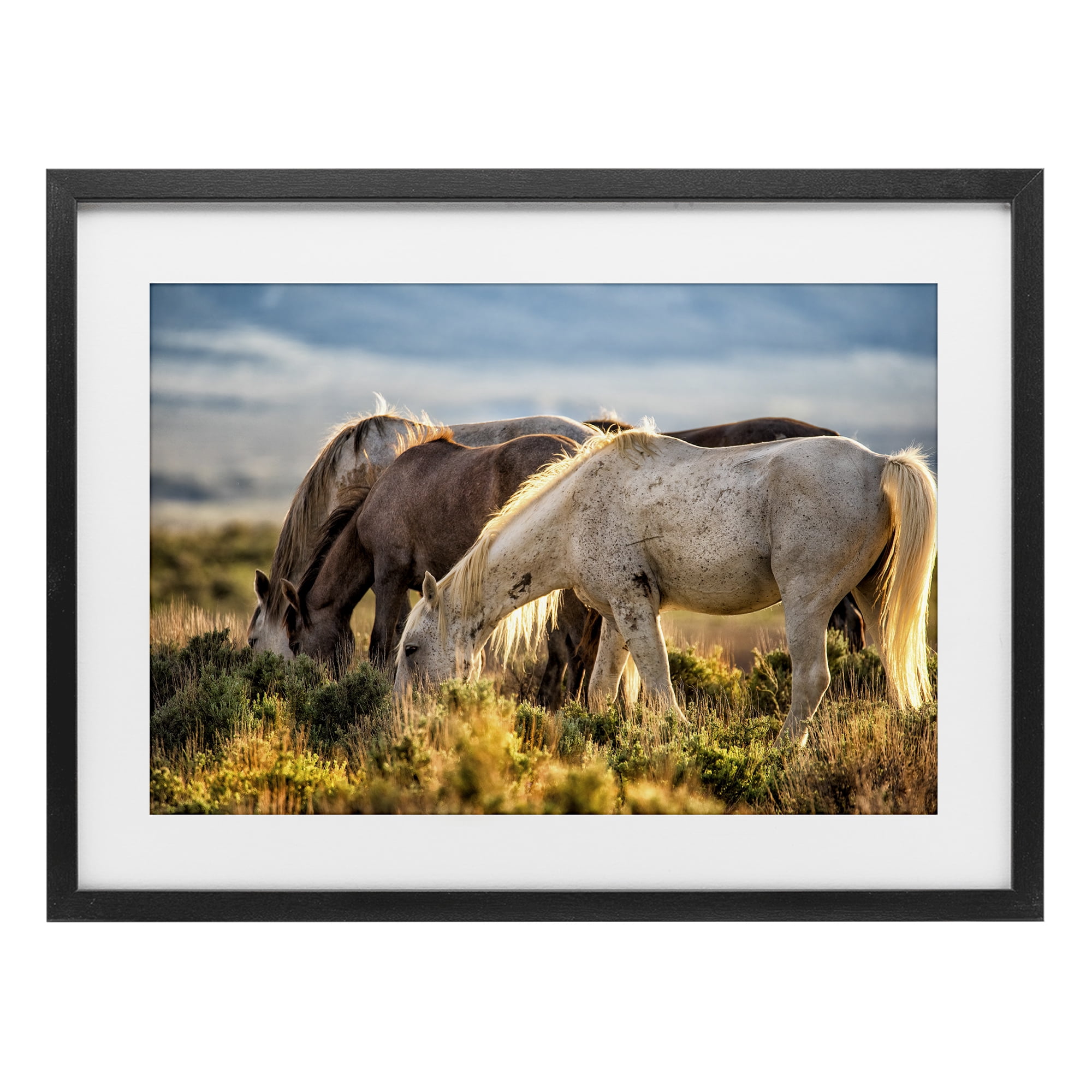 Stupell Industries Equine Evening Graze Black Framed Print Under Glass, design by Tim West