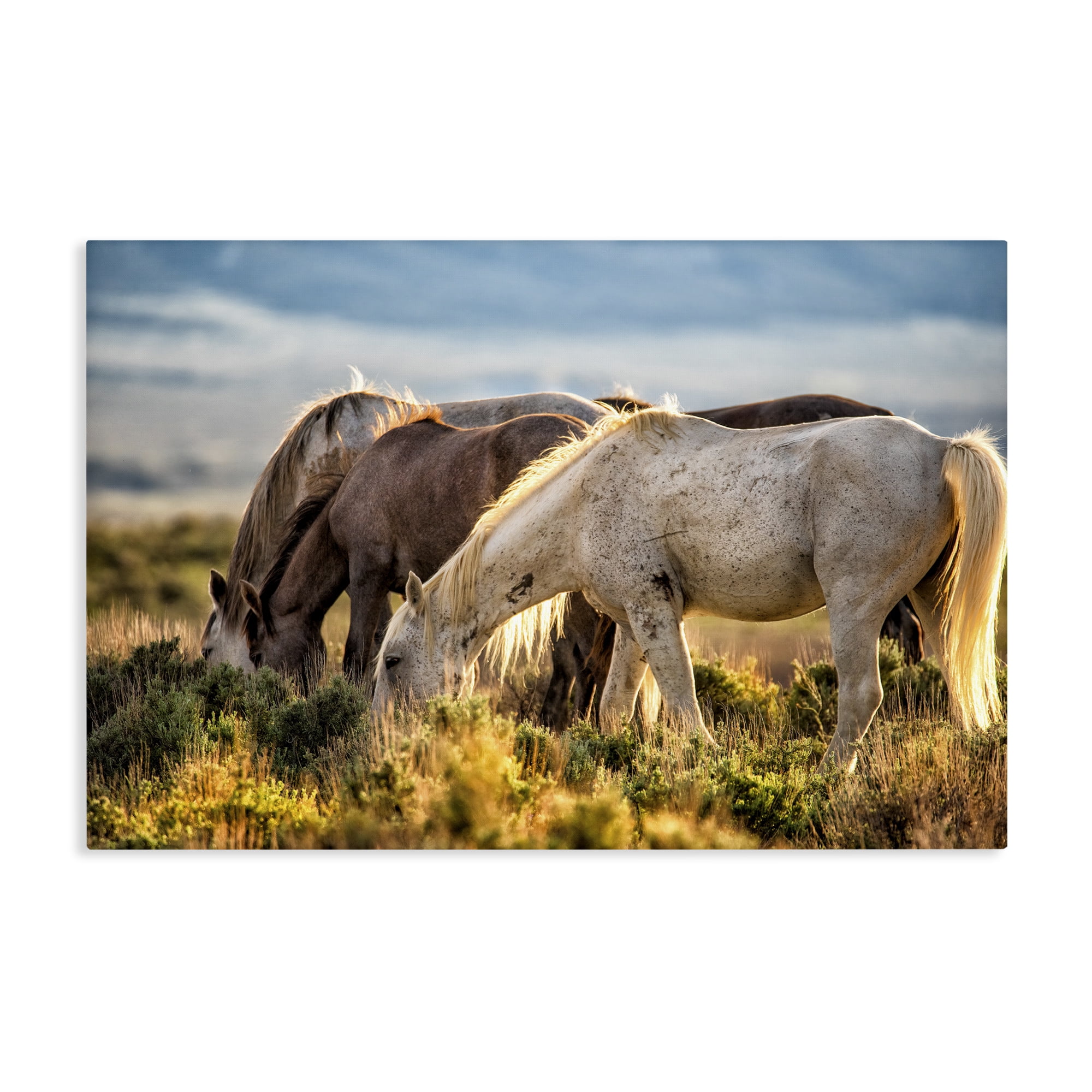 Stupell Industries Equine Evening Graze Canvas Wall Art, design by Tim West