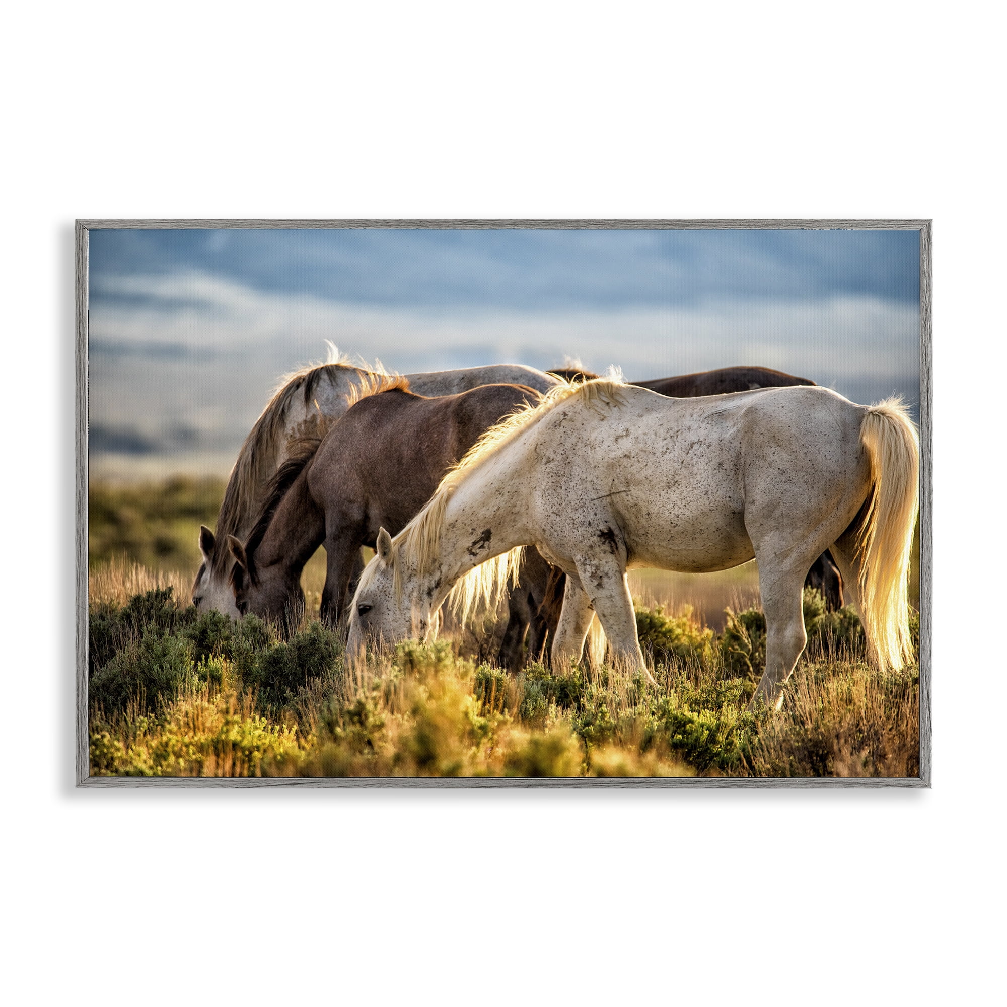 Stupell Industries Equine Evening Graze Gray Framed Giclee Art, design by Tim West