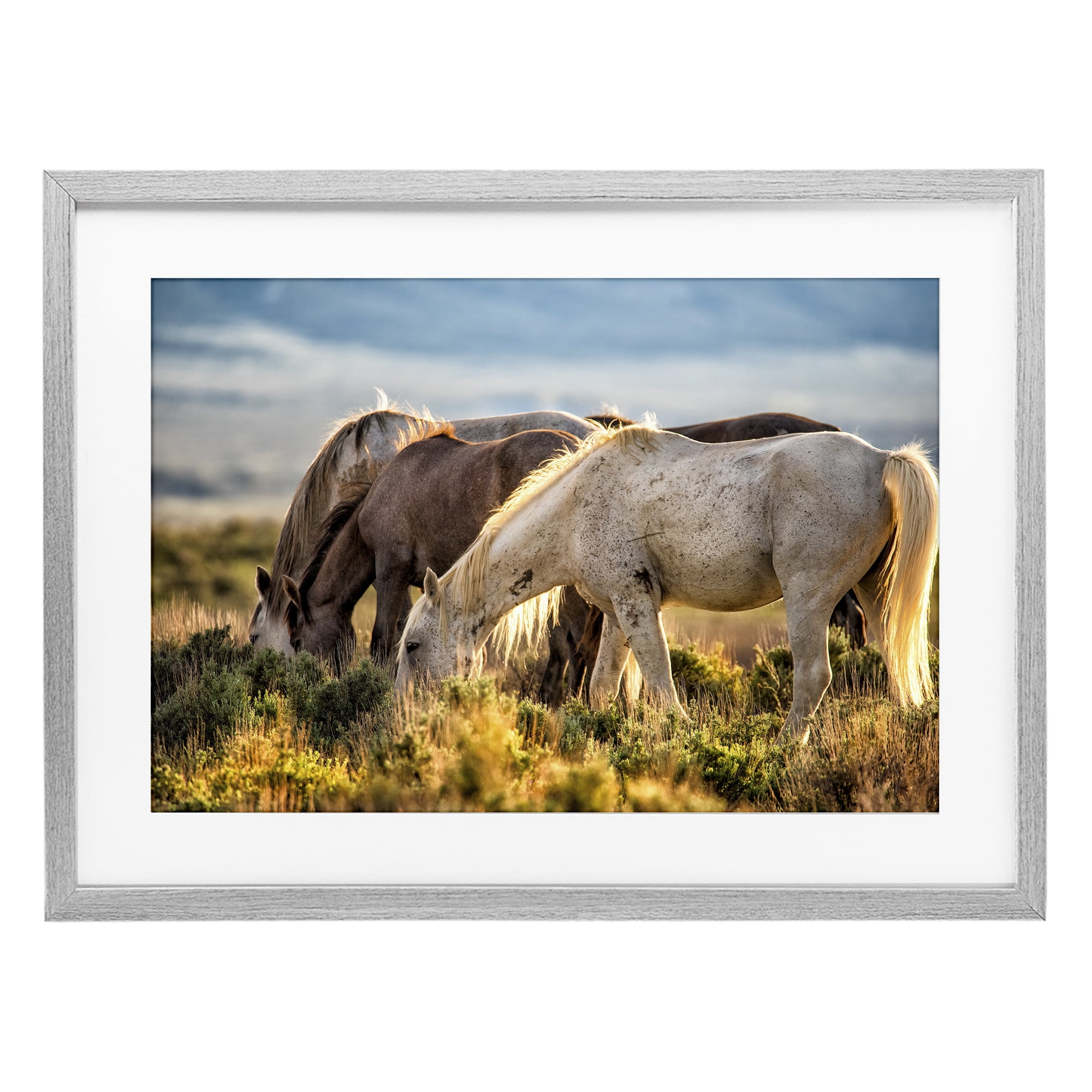 Stupell Industries Equine Evening Graze Gray Framed Print Under Glass, design by Tim West