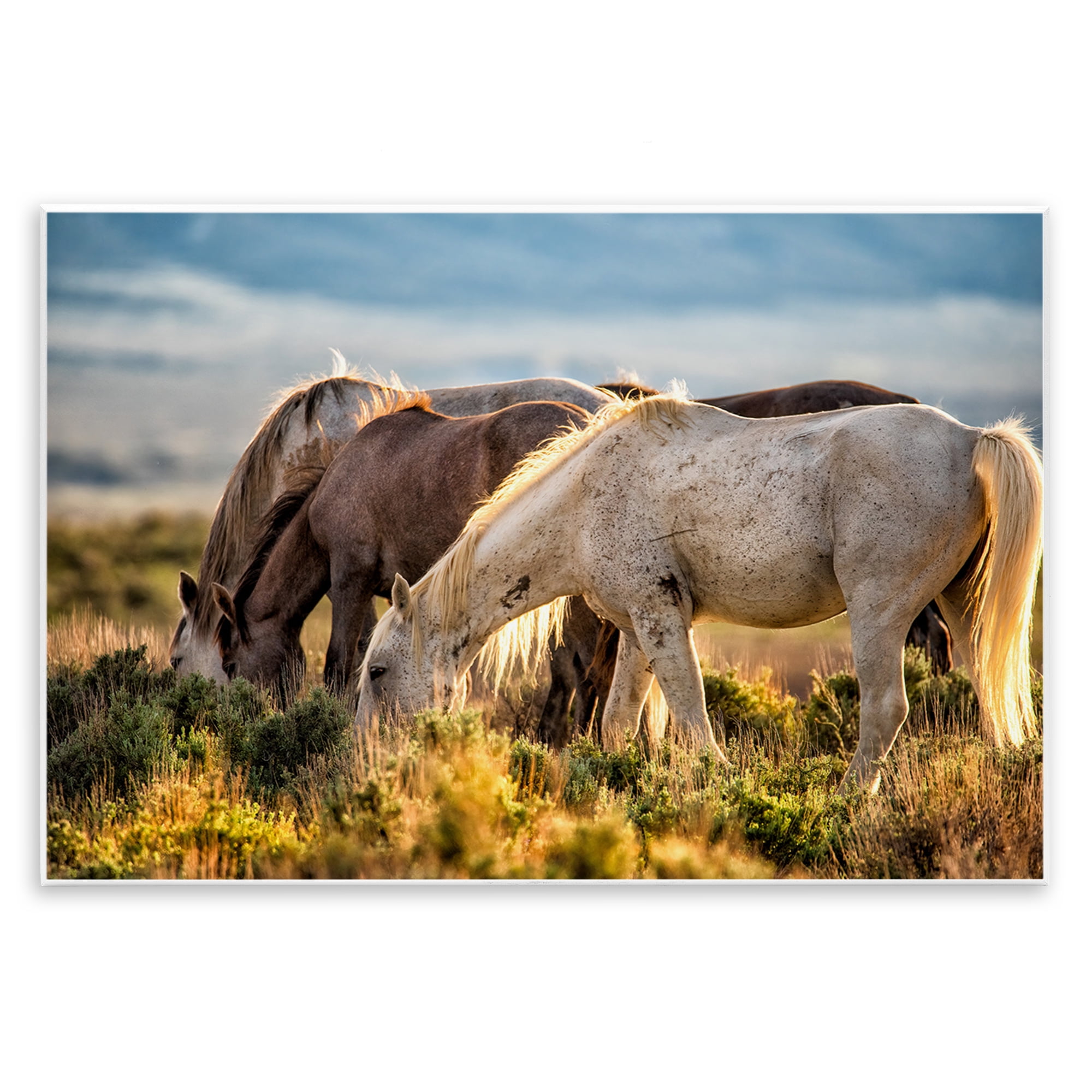 Stupell Industries Equine Evening Graze Wall Plaque Art, design by Tim ...
