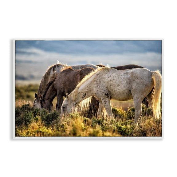 Stupell Industries Equine Evening Graze White Framed Giclee Art, design by Tim West