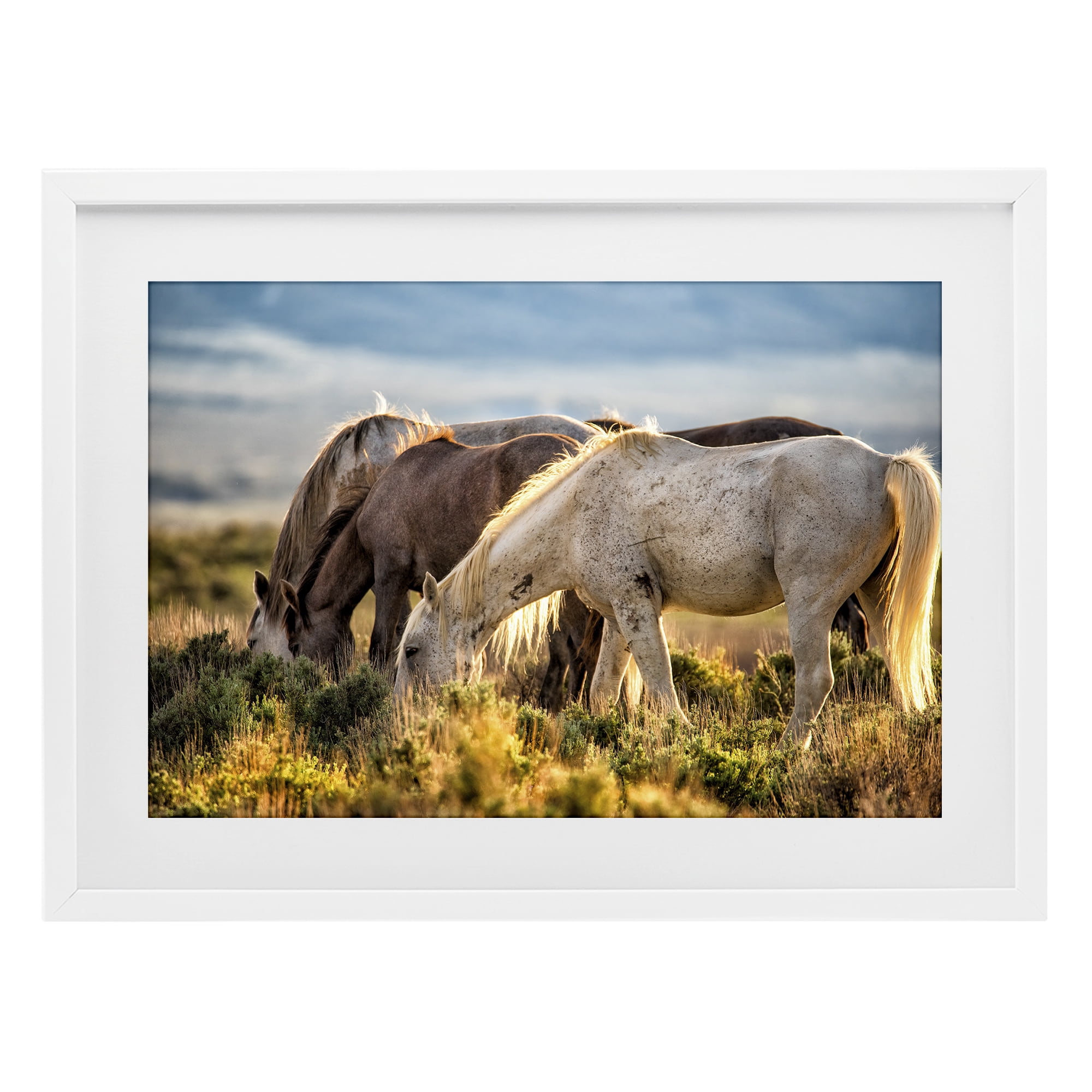 Stupell Industries Equine Evening Graze White Framed Print Under Glass, design by Tim West