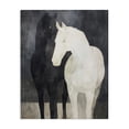 thumbnail image 1 of Stupell Industries Transitional Equine Twins Of Wind Canvas Art, 24 x 30, by Svetlana Aleynikova, 1 of 8