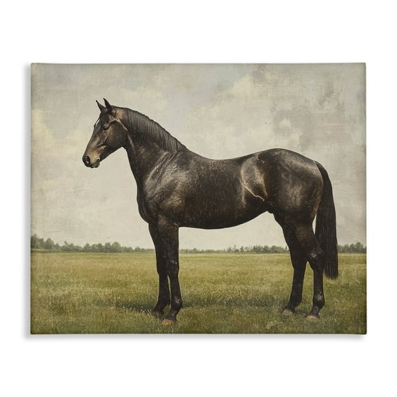 Stupell Industries Espresso Horse Portrait Canvas Wall Art design by Petal Prints Design, 30 x 40