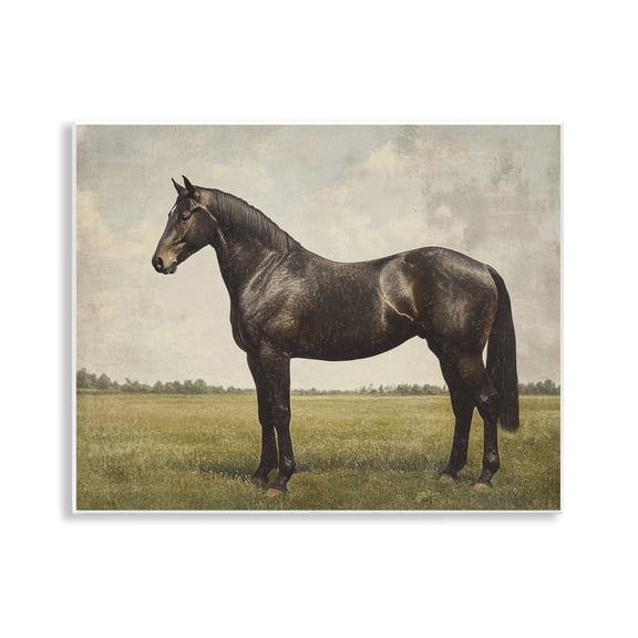 Stupell Industries Espresso Horse Portrait Wall Plaque Art design by Petal Prints Design, 11 x 14