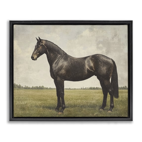 Stupell Industries Transitional Espresso Horse in Pastoral Field Black Floating Frame Canvas Art, 21 x 17, by Petals Prints Design