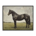 thumbnail image 1 of Stupell Industries Transitional Espresso Horse in Pastoral Field Black Framed Giclee Art, 14 x 11, by Petals Prints Design, 1 of 8