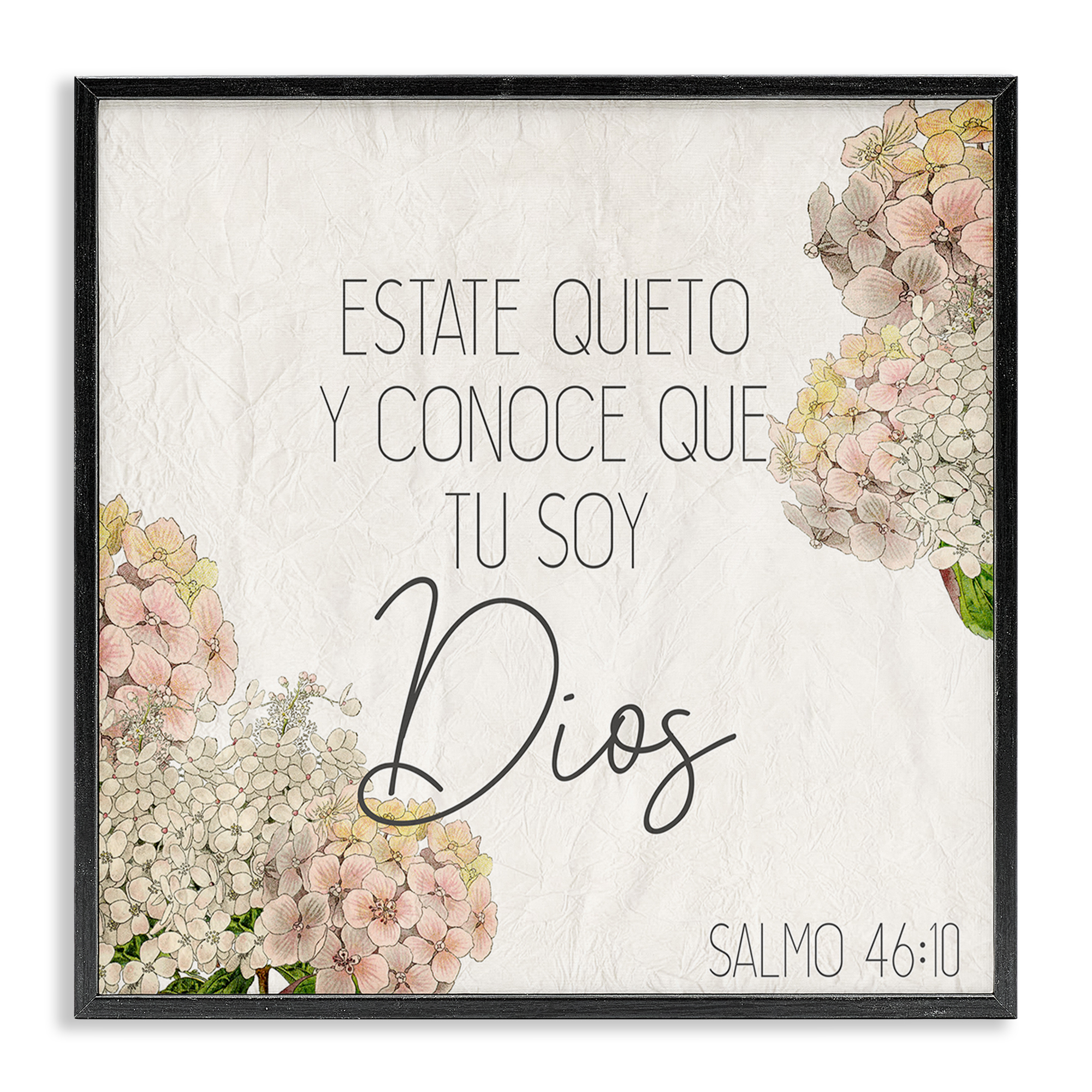 Stupell Industries Estate Quieto Salmo 46:10 Religious Quotes and Sayings Painting Black Framed Art Print Wall Art, 12 x 12
