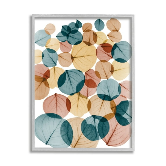 Stupell Industries Eucalyptus Leaves Translucent Blue Yellow Orange Botanicals , 11 x 14,Design by Albert Koetsier