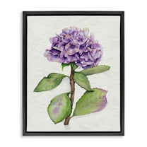 Stupell Industries European Style Hydrangea Botanical & Floral Painting Black Floater Framed Canvas Art Print Wall Art, 17 x 21