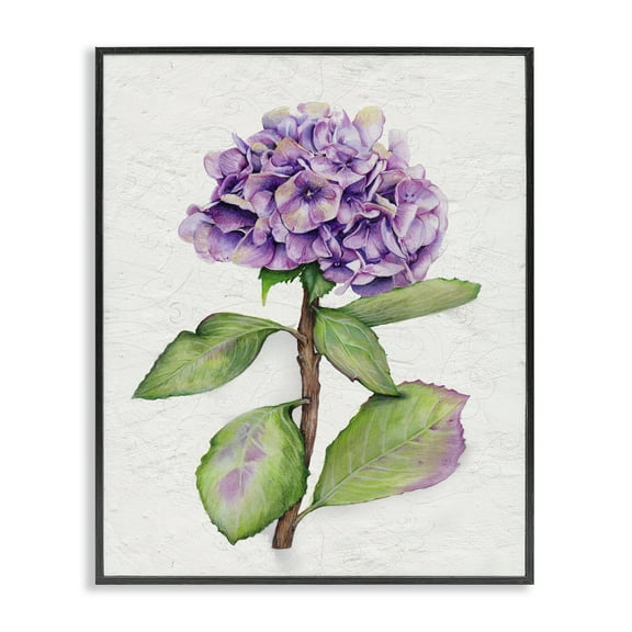 Stupell Industries European Style Hydrangea Botanical & Floral Painting Black Framed Art Print Wall Art, 11 x 14