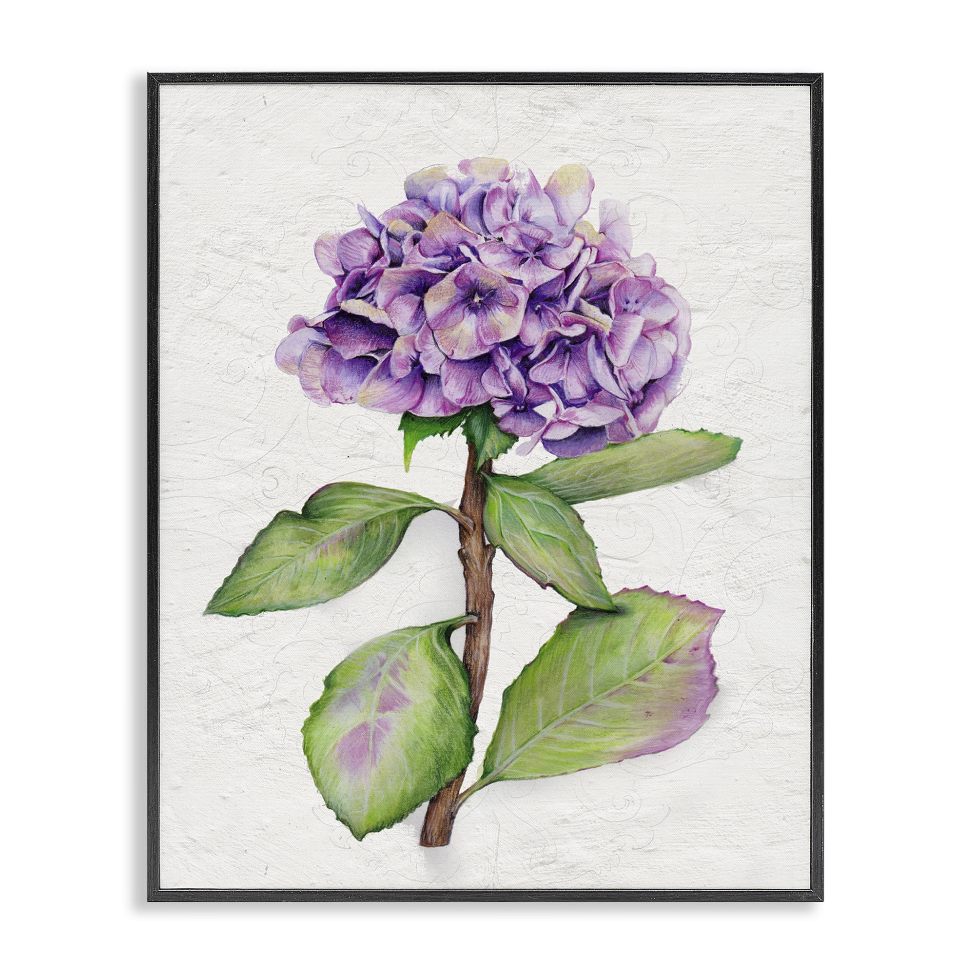 Stupell Industries European Style Hydrangea Botanical & Floral Painting Black Framed Art Print Wall Art, 24 x 30