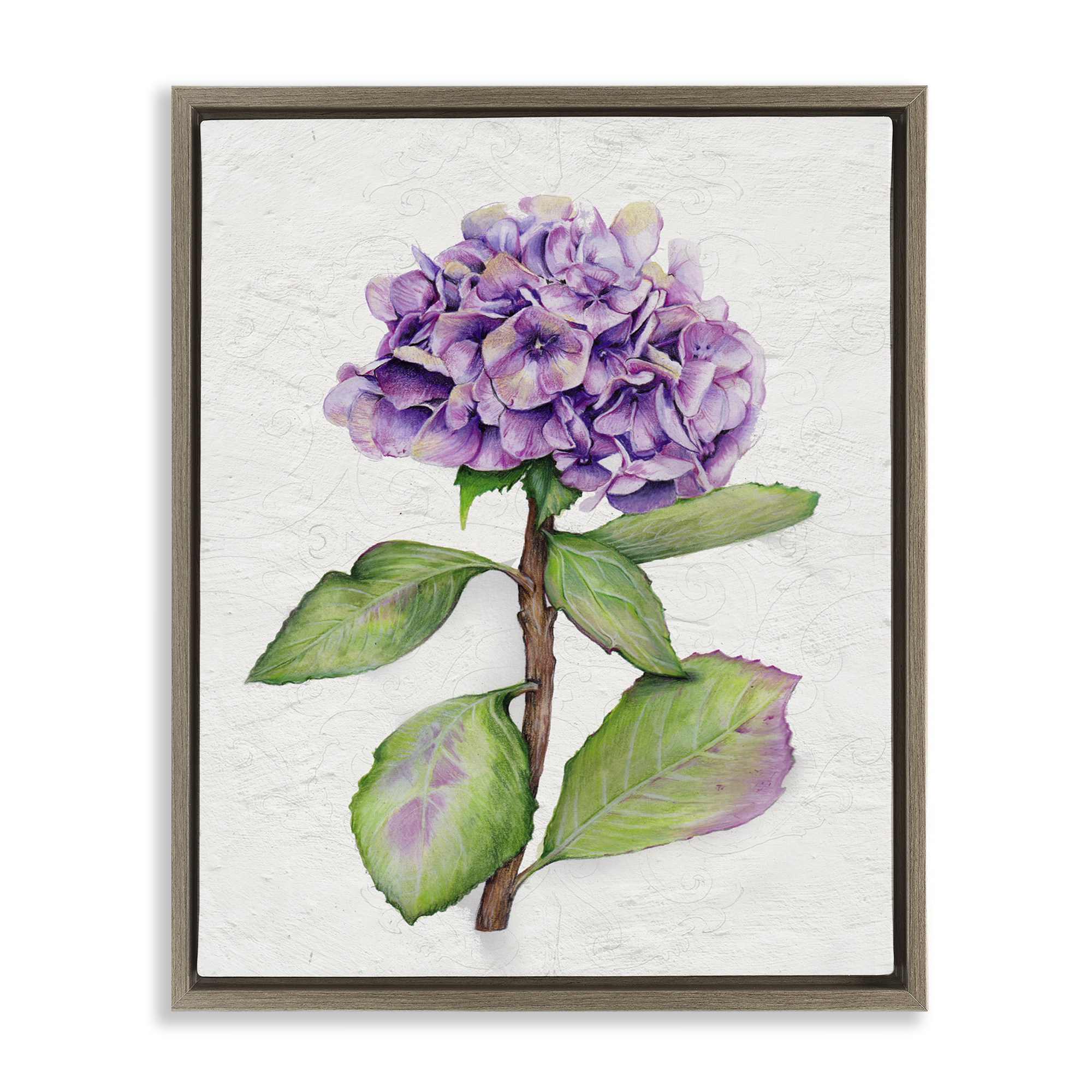 Stupell Industries European Style Hydrangea Botanical & Floral Painting Brown Floater Framed Canvas Art Print Wall Art, 25 x 31