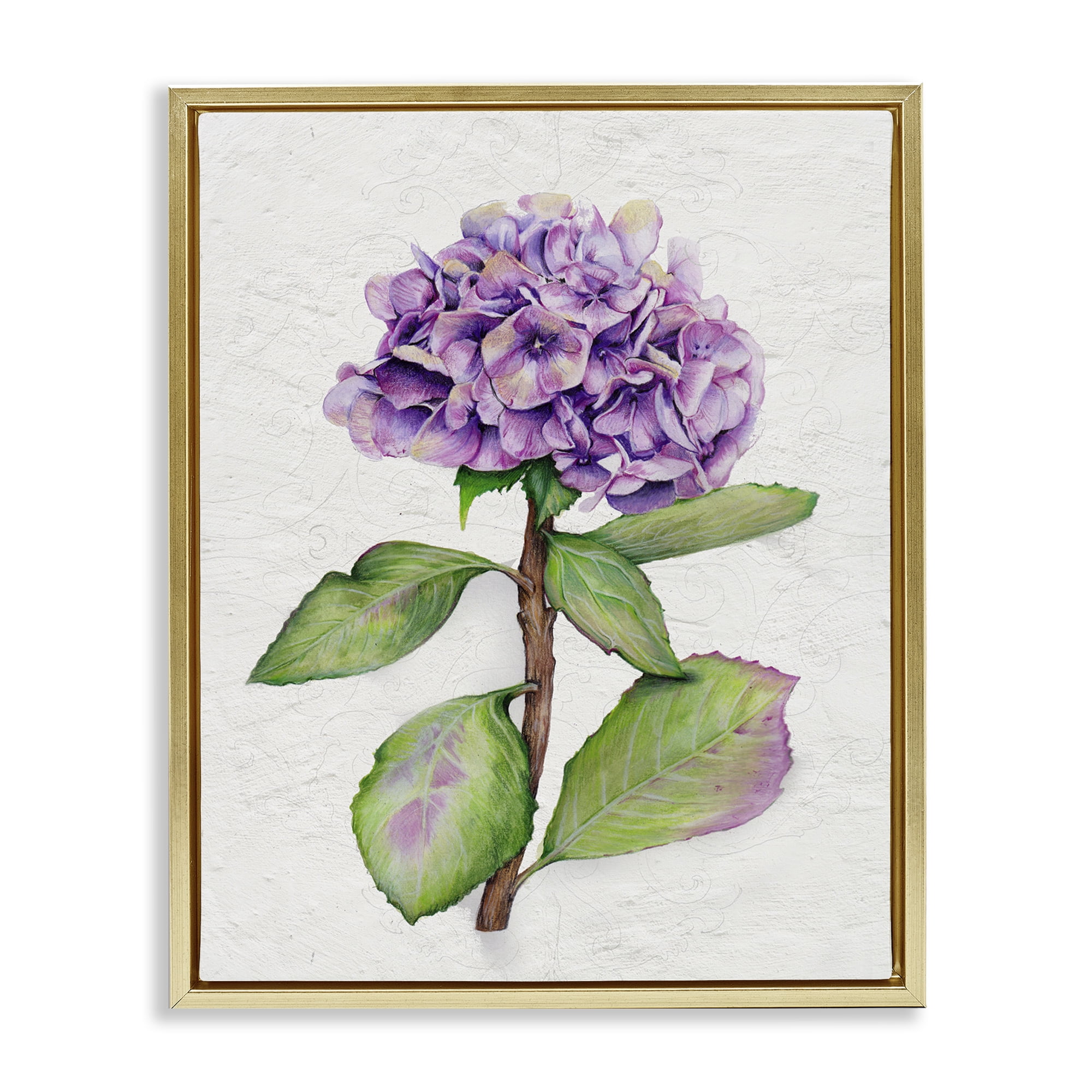 Stupell Industries European Style Hydrangea Botanical & Floral Painting Gold Floater Framed Canvas Art Print Wall Art, 17 x 21
