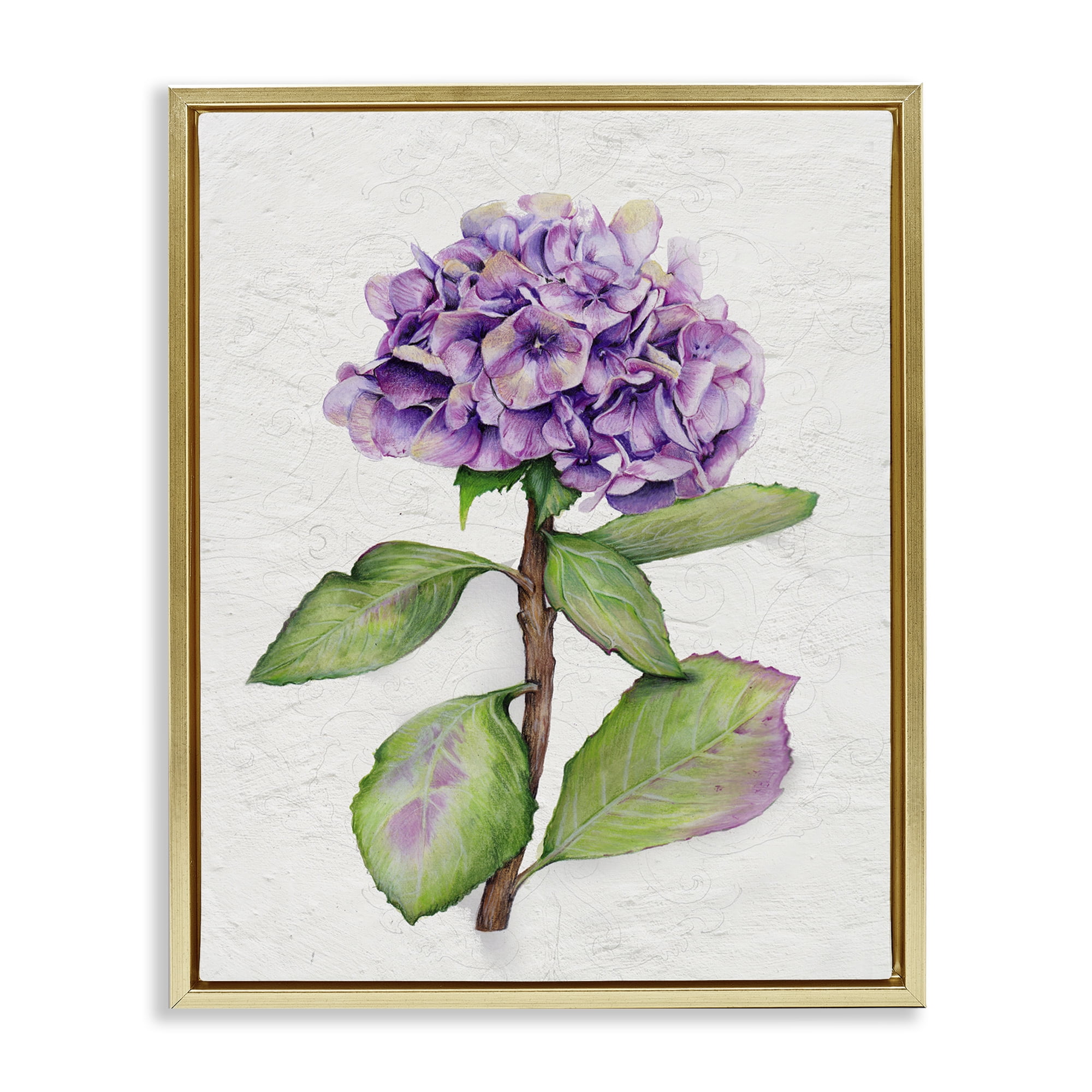 Stupell Industries European Style Hydrangea Botanical & Floral Painting Gold Floater Framed Canvas Art Print Wall Art, 25 x 31