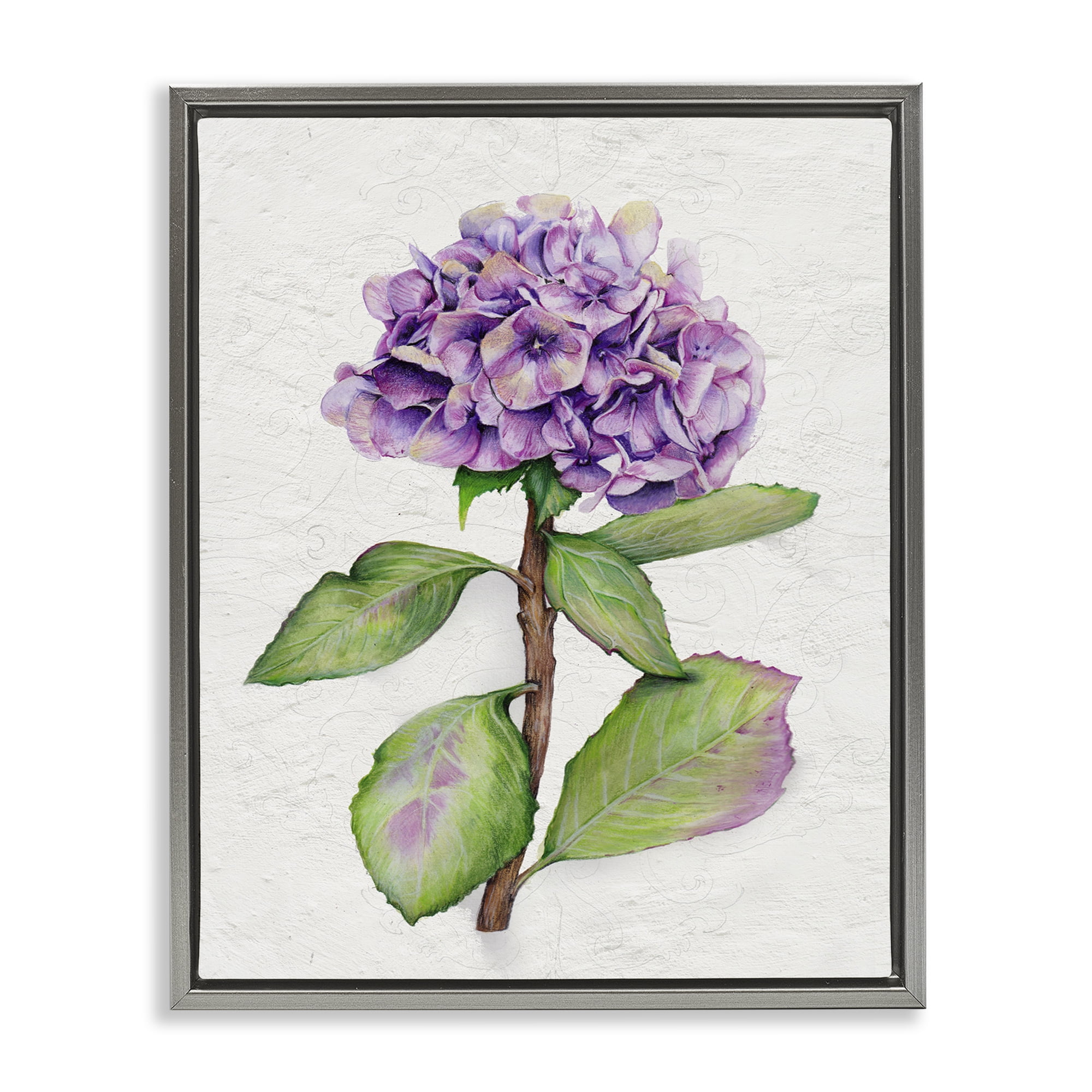 Stupell Industries European Style Hydrangea Botanical & Floral Painting Gray Floater Framed Canvas Art Print Wall Art, 25 x 31