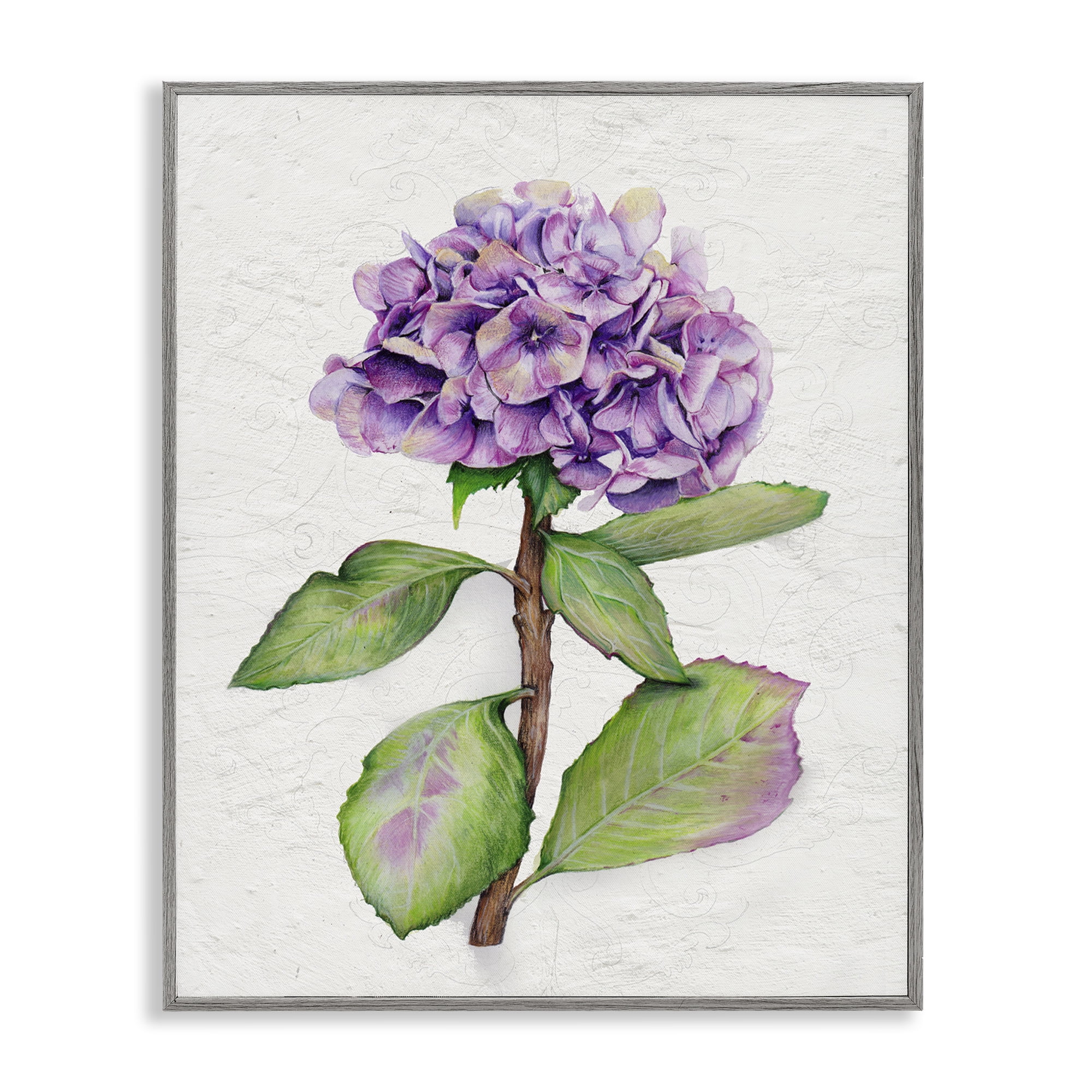 Stupell Industries European Style Hydrangea Botanical & Floral Painting Gray Framed Art Print Wall Art, 11 x 14