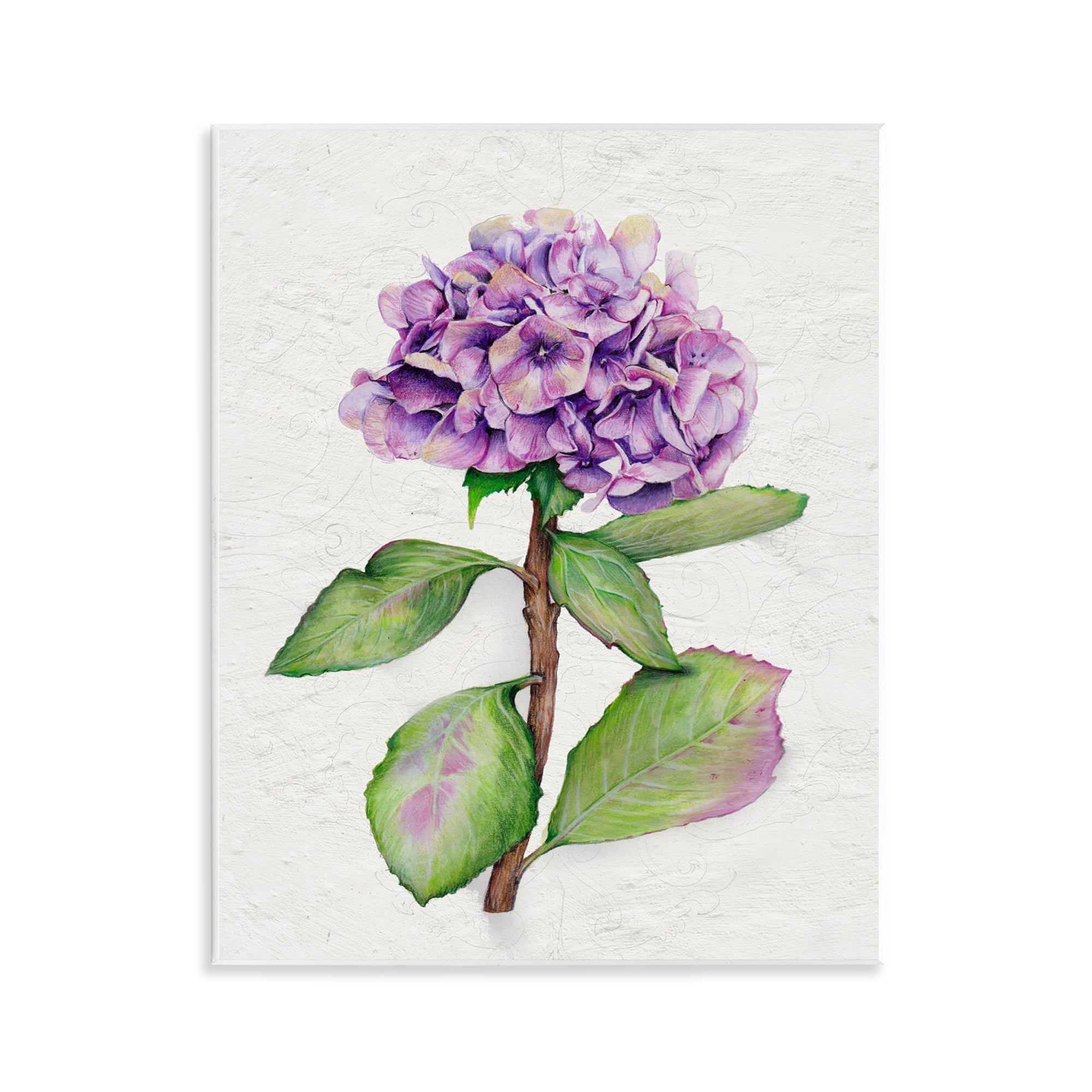 Stupell Industries European Style Hydrangea Botanical & Floral Painting Unframed Art Print Wall Art, 11 x 14