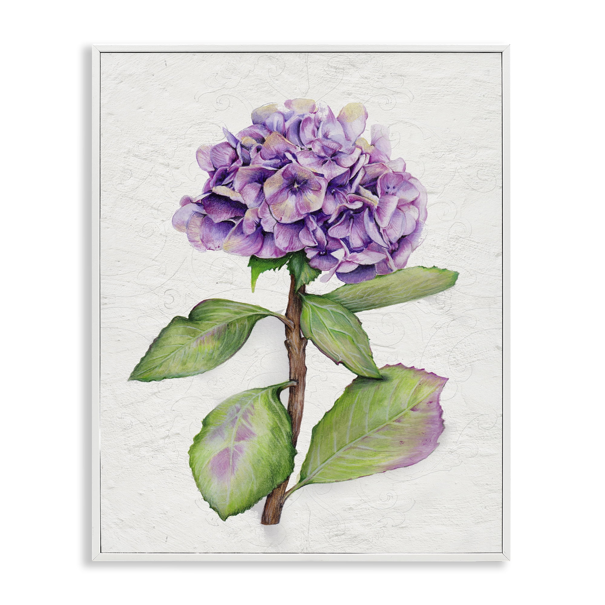 Stupell Industries European Style Hydrangea Botanical & Floral Painting White Framed Art Print Wall Art, 24 x 30