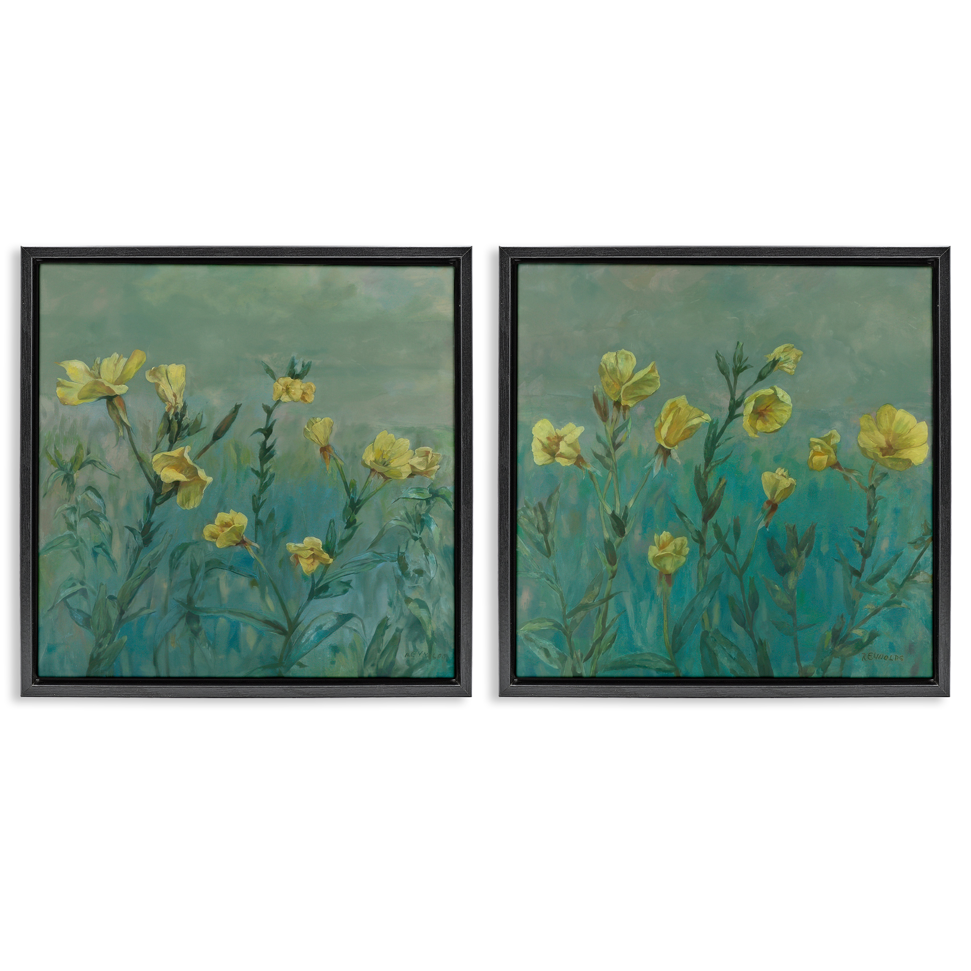 Stupell Industries Evening Primrose Flower Unfurling Plants & Flowers Painting Black Floater Framed Canvas Art Print Wall Art, 25 x 25, Set of 2