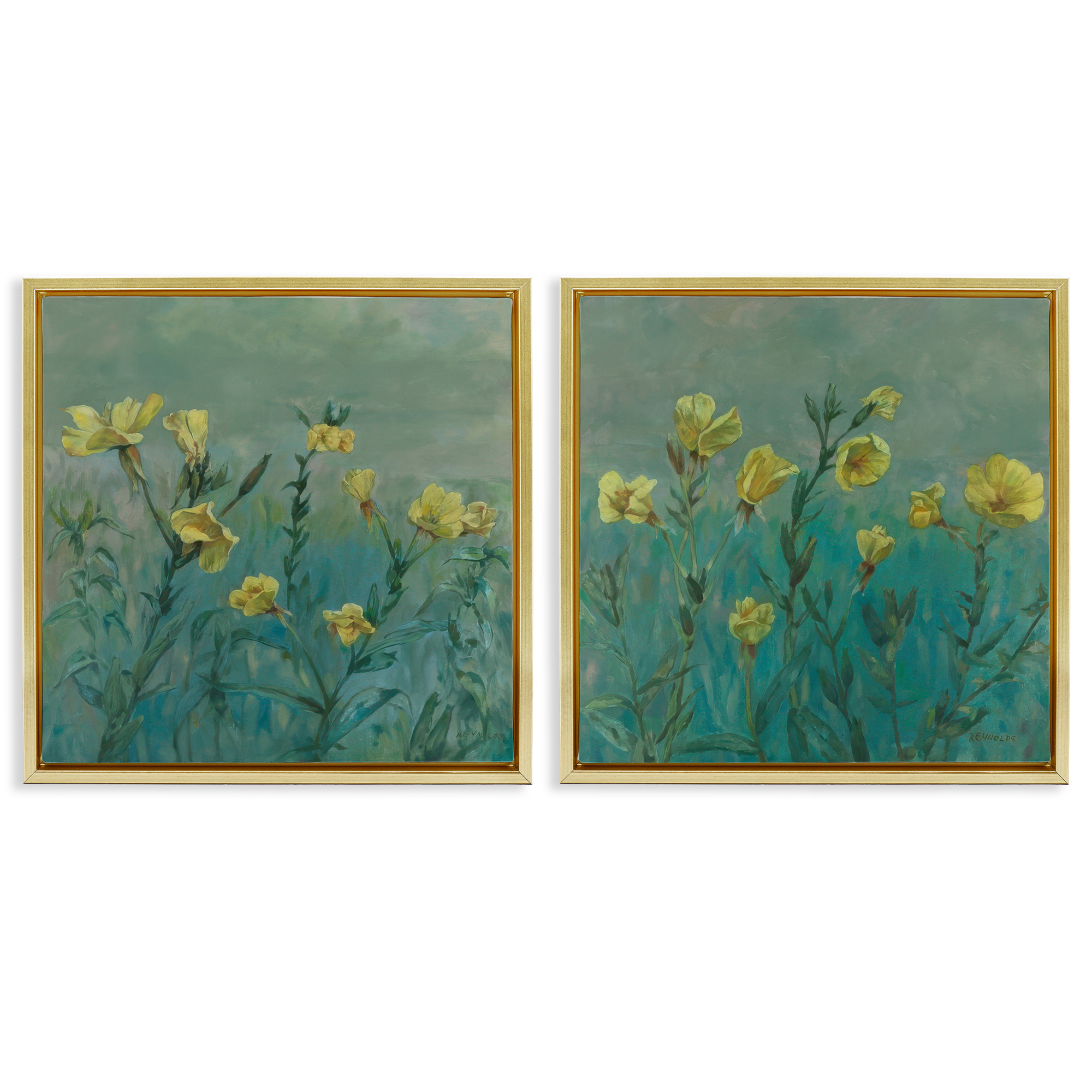 Stupell Industries Evening Primrose Flower Unfurling Plants & Flowers Painting Gold Floater Framed Canvas Art Print Wall Art, 25 x 25, Set of 2
