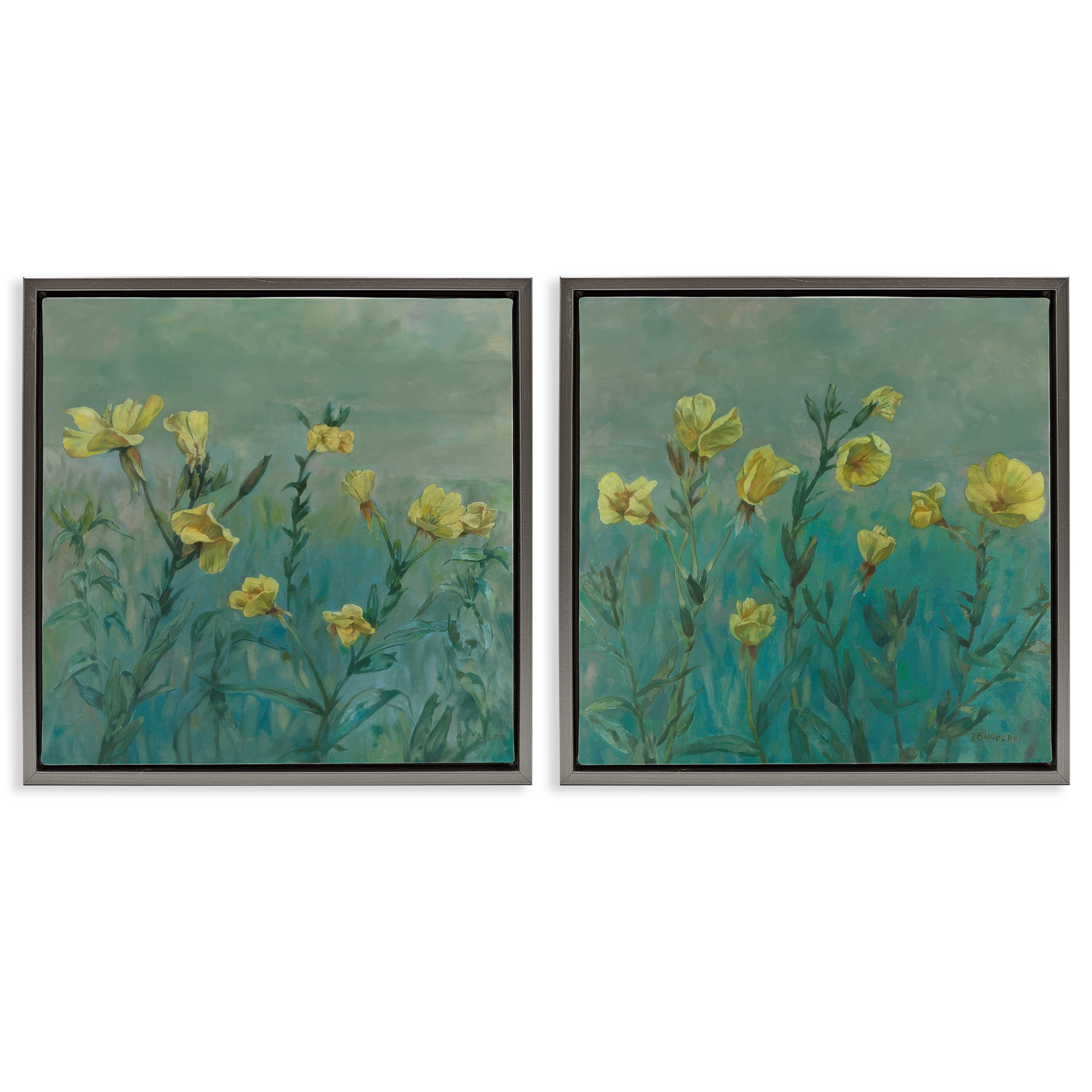 Stupell Industries Evening Primrose Flower Unfurling Plants & Flowers Painting Gray Floater Framed Canvas Art Print Wall Art, 18 x 18, Set of 2