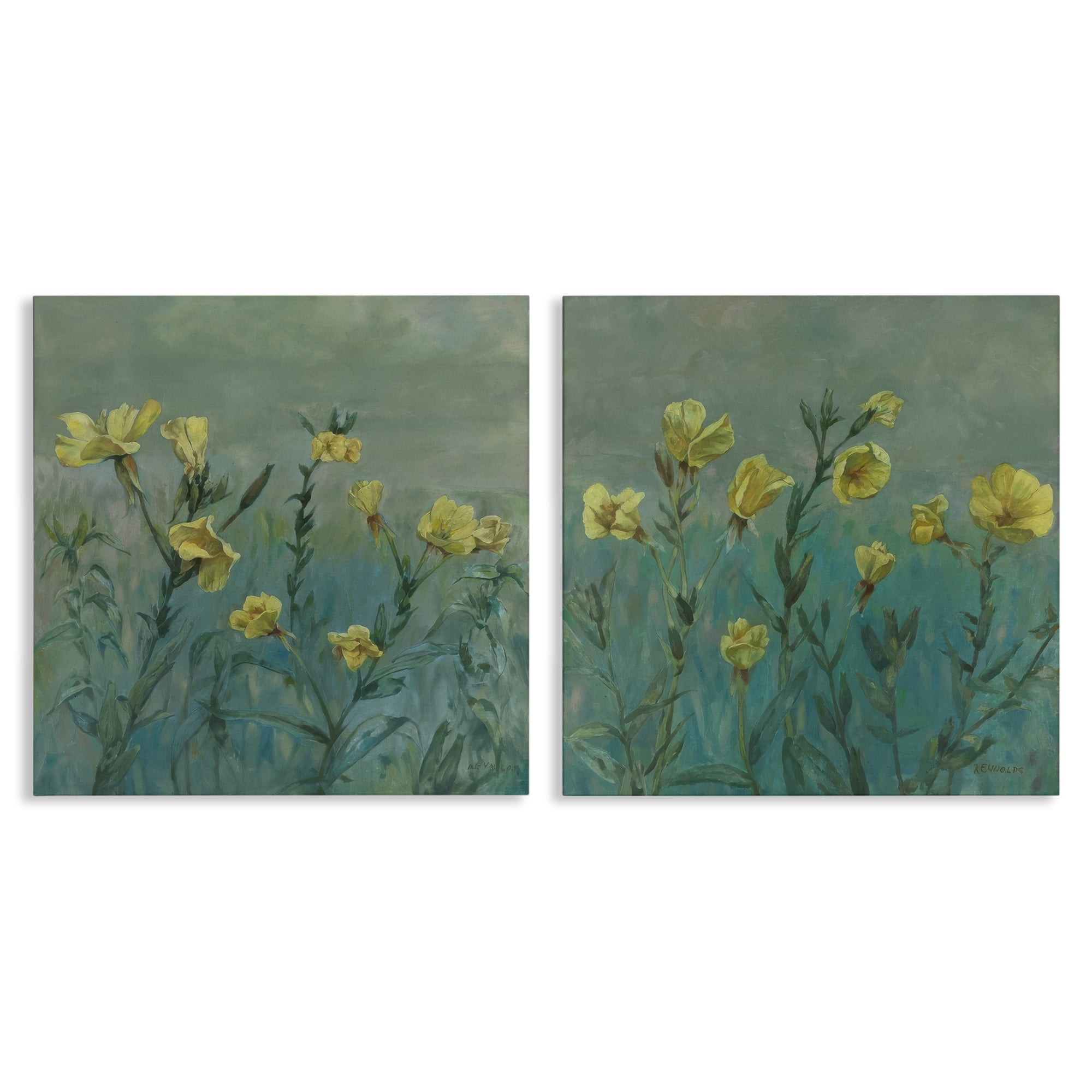 Stupell Industries Evening Primrose Flower Unfurling Plants & Flowers Painting Wrapped Canvas Art Print Wall Art, 24 x 24, Set of 2