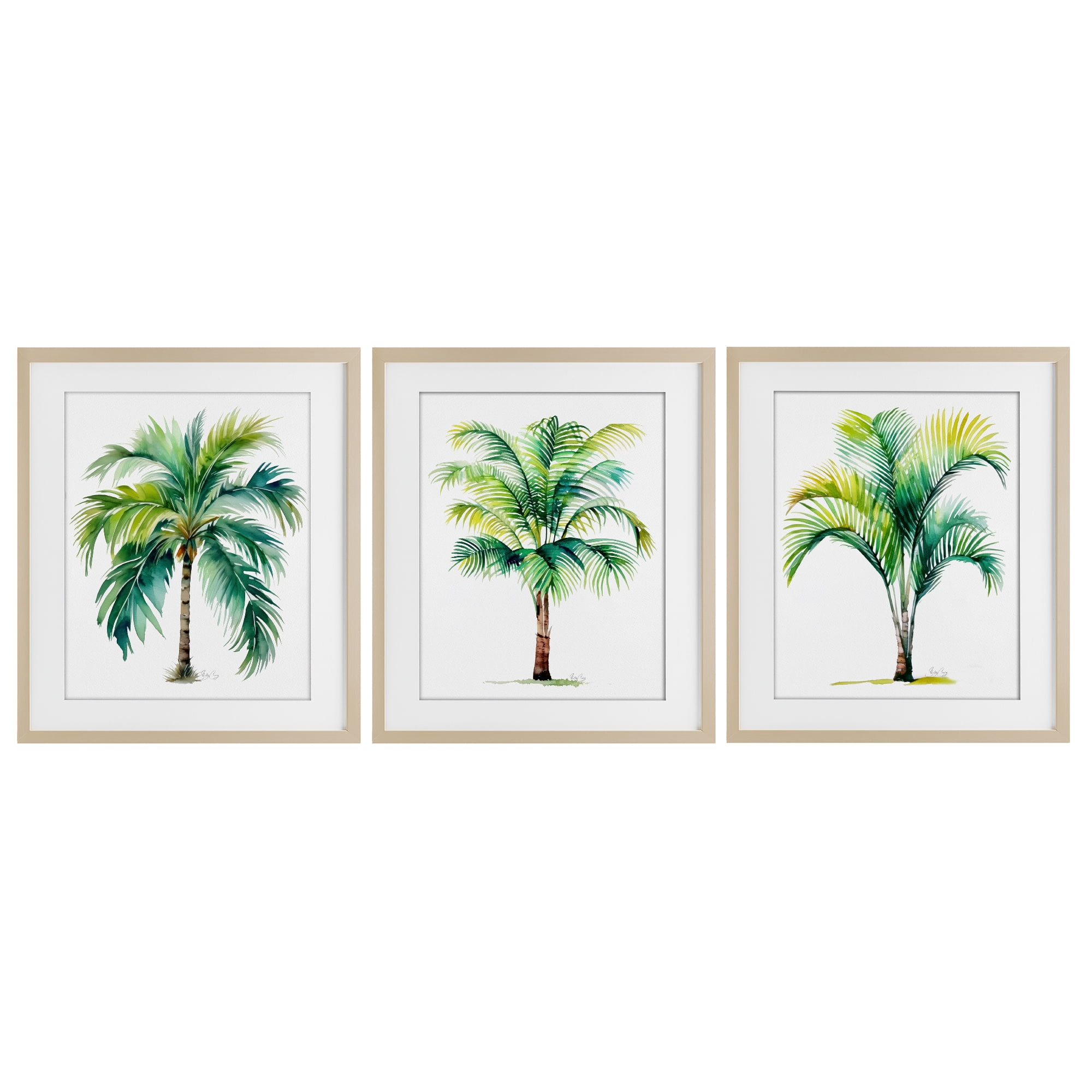 Stupell Industries Exotic Lagoon Palms 3 Piece Birch Framed Print Under Glass Set, design by Shelly Craig