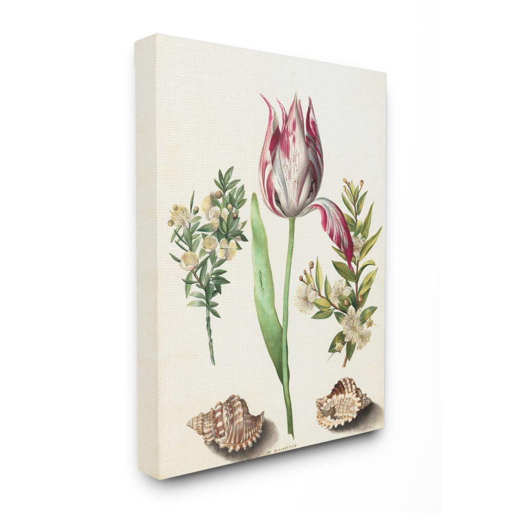 Stupell Industries Exotic Tropical Pink Floral Illustration with Nautical Shells Canvas Wall Art Design by Ziwei Li
