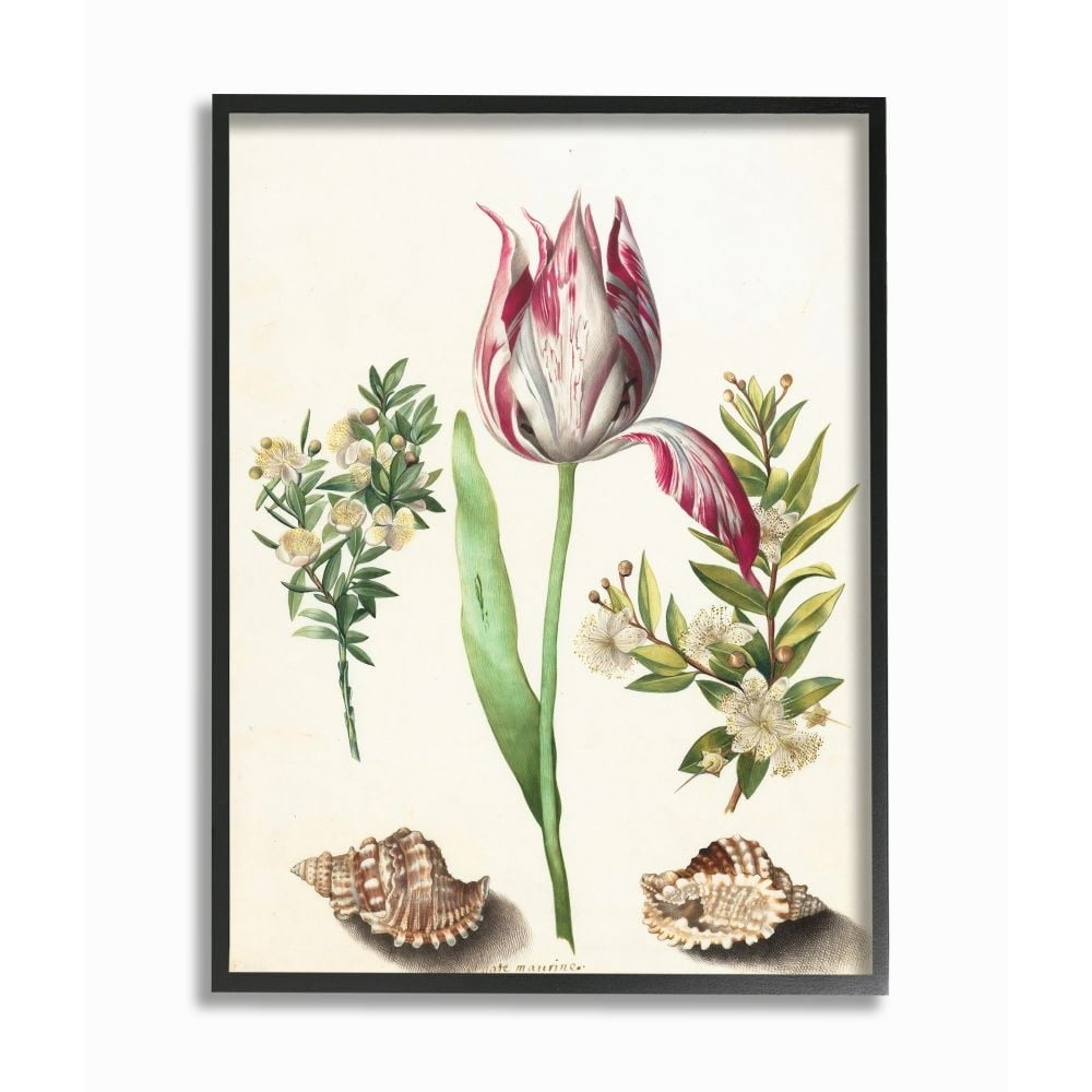 Stupell Industries Exotic Tropical Pink Floral Illustration with Nautical Shells Framed Wall Art Design by Ziwei Li