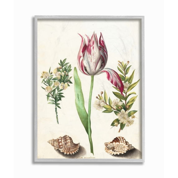 Stupell Industries Exotic Tropical Pink Floral Illustration with Nautical Shells Framed Wall Art Design by Ziwei Li, 11" x 14", Gray Framed