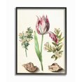 thumbnail image 1 of Stupell Industries Exotic Tropical Pink Floral Illustration with Nautical Shells Framed Wall Art Design by Ziwei Li, 16" x 20", Black Framed, 1 of 5