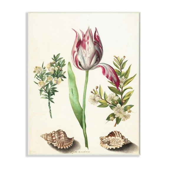 Stupell Industries Exotic Tropical Pink Floral Illustration with Nautical Shells Graphic Art Unframed Art Print Wall Art, 10x15, by Ziwei Li