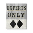 thumbnail image 1 of Stupell Industries Experts Only Ski Black Diamond Graphic Art Gallery Wrapped Canvas Print Wall Art, Design by Livi Finn, 1 of 2