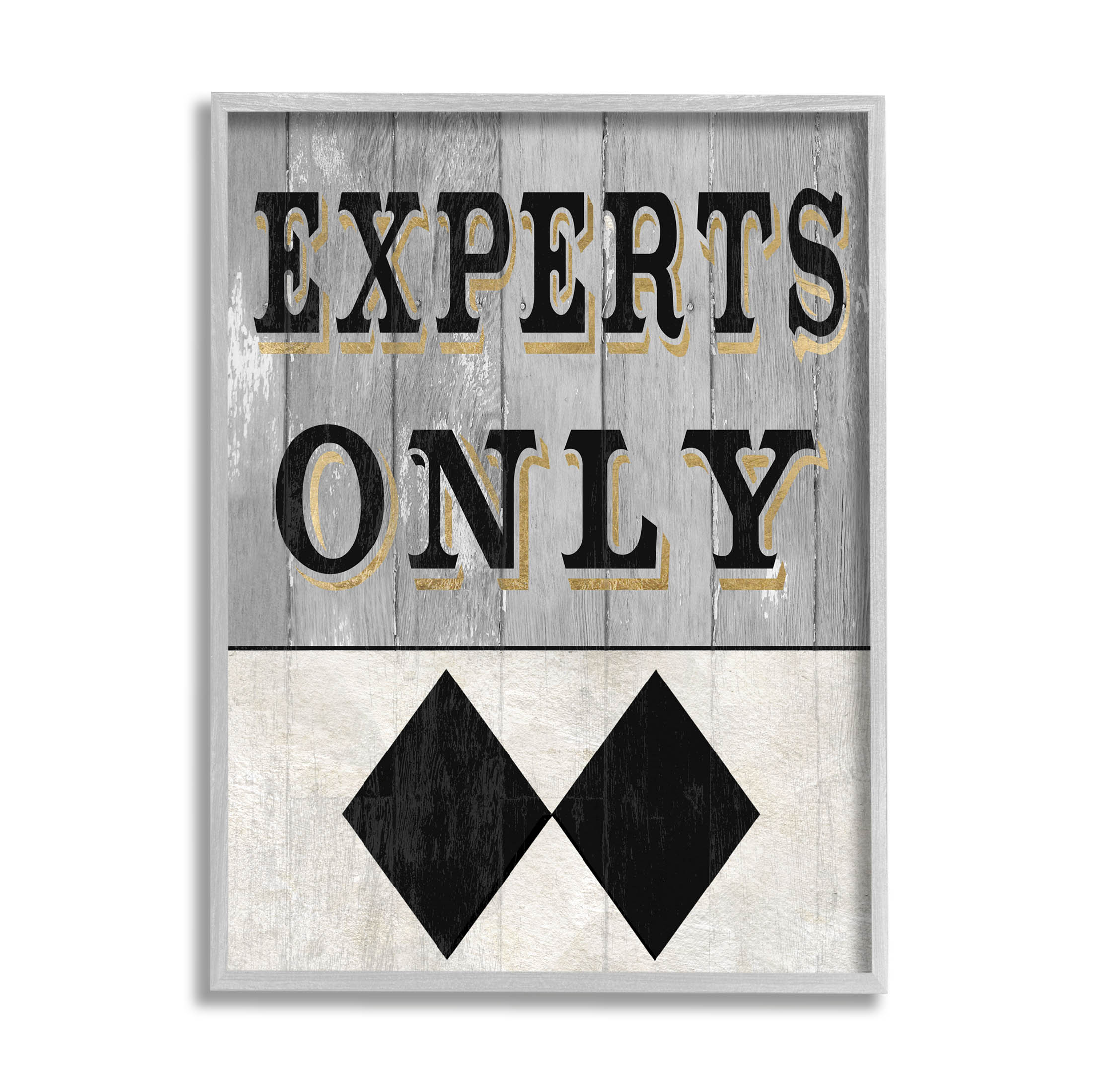 Stupell Industries Experts Only Ski Black Diamond Graphic Art Gray Framed Art Print Wall Art, Design by Livi Finn