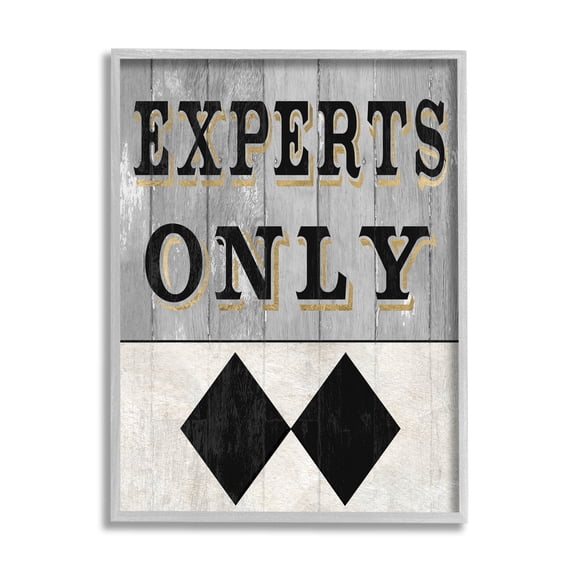 Stupell Industries Experts Only Ski Black Diamond Graphic Art Gray Framed Art Print Wall Art, Design by Livi Finn