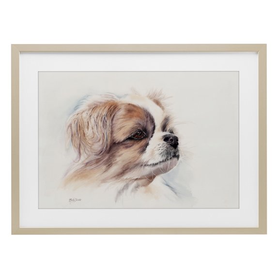 Expressive Dog Face Portrait Brown Framed Print Under Glass, 20 x 14, Made In USA