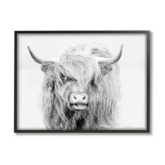 Stupell Industries Expressive Highland Cattle Monochrome Animal Portrait Photograph Black Framed Art Print Wall Art, Design by Jennifer Pugh