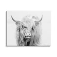 thumbnail image 1 of Stupell Industries Expressive Highland Cattle Monochrome Animal Portrait Photograph Gallery Wrapped Canvas Print Wall Art, Design by Jennifer Pugh, 1 of 7