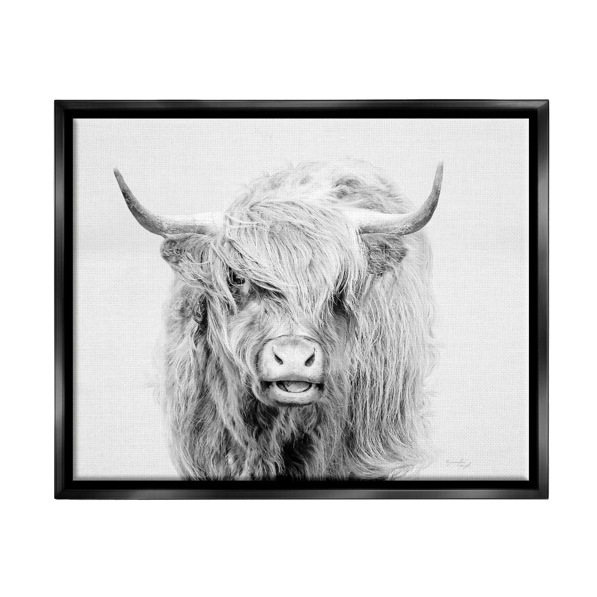 Stupell Industries Expressive Highland Cattle Monochrome Animal Portrait Photograph Jet Black Floating Framed Canvas Print Wall Art, Design by Jennifer Pugh