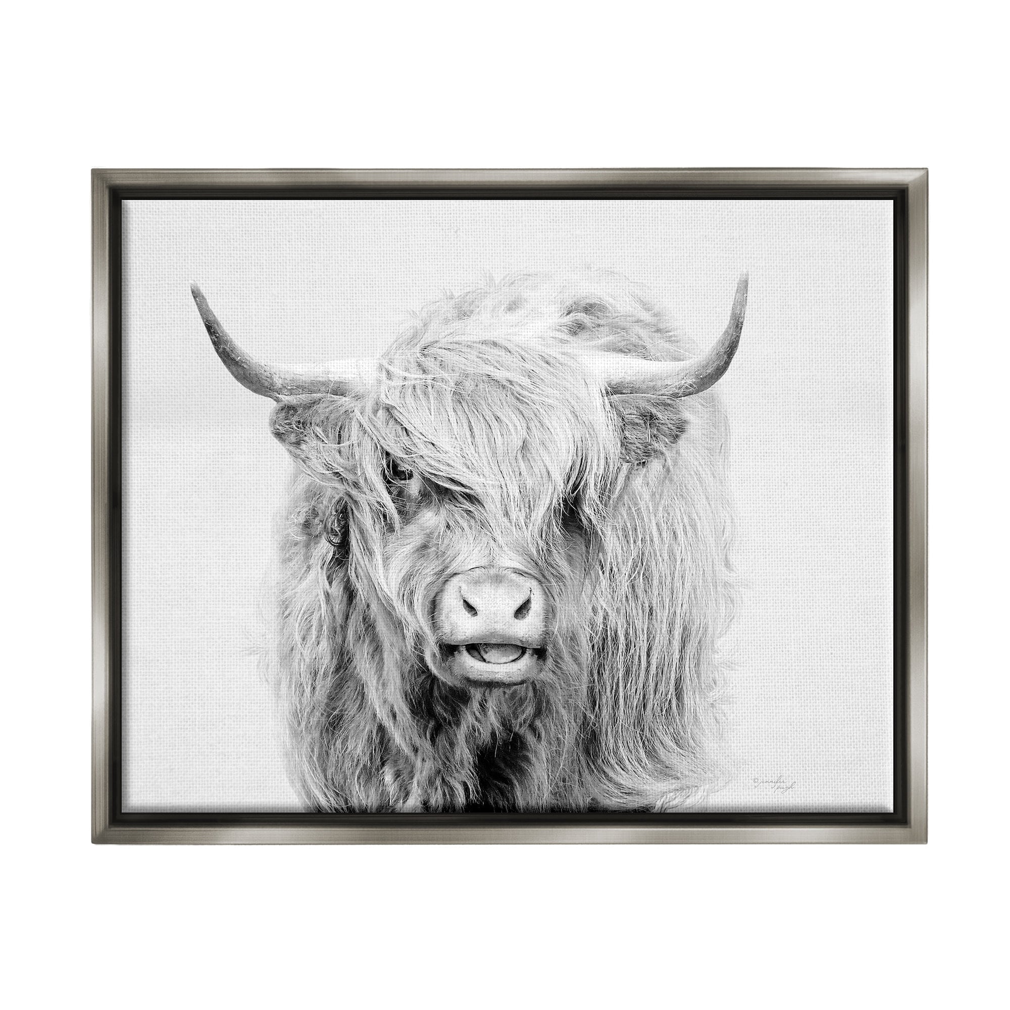 Stupell Industries Expressive Highland Cattle Monochrome Animal Portrait Photograph Luster Gray Floating Framed Canvas Print Wall Art, Design by Jennifer Pugh