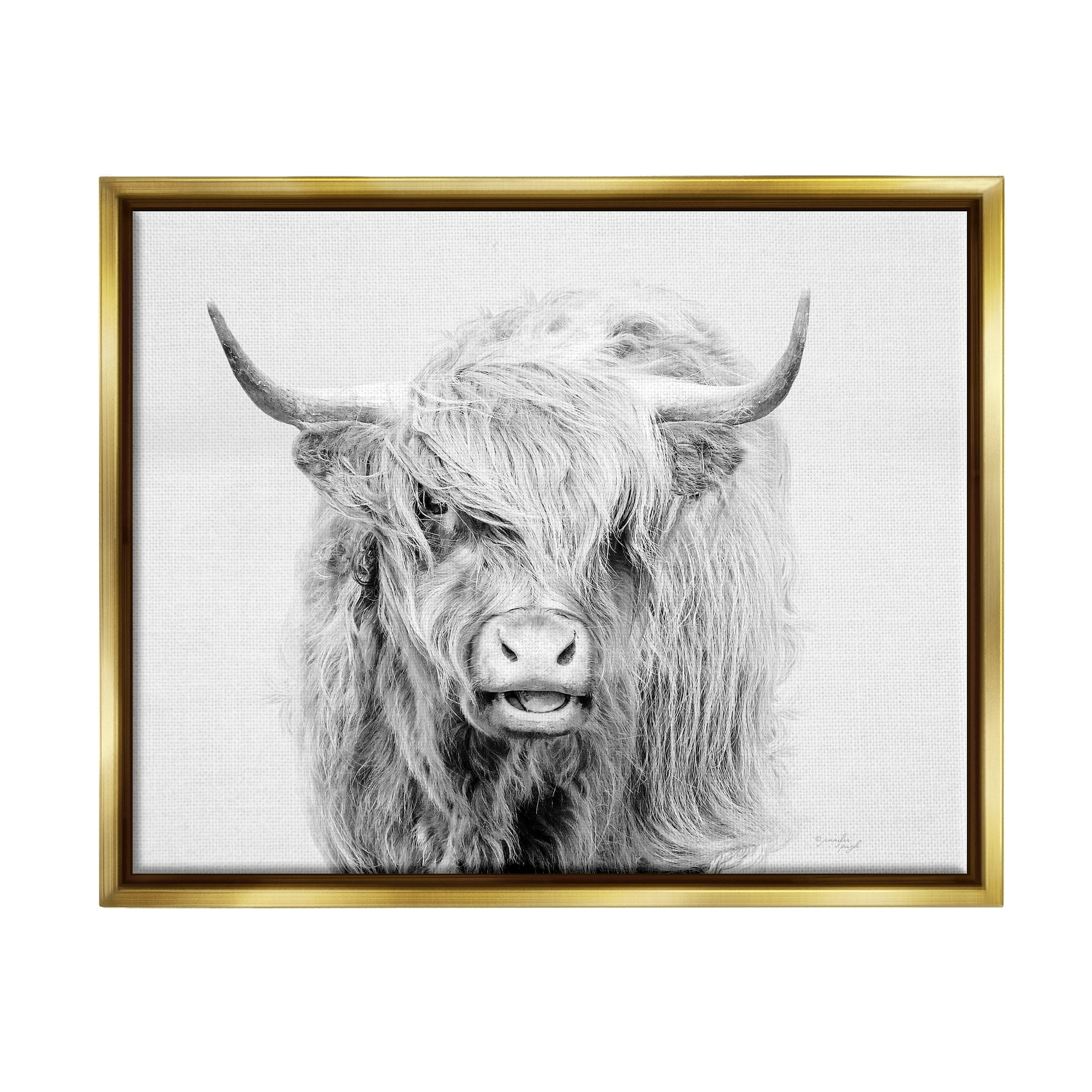 Stupell Industries Expressive Highland Cattle Monochrome Animal Portrait Photograph Metallic Gold Floating Framed Canvas Print Wall Art, Design by Jennifer Pugh