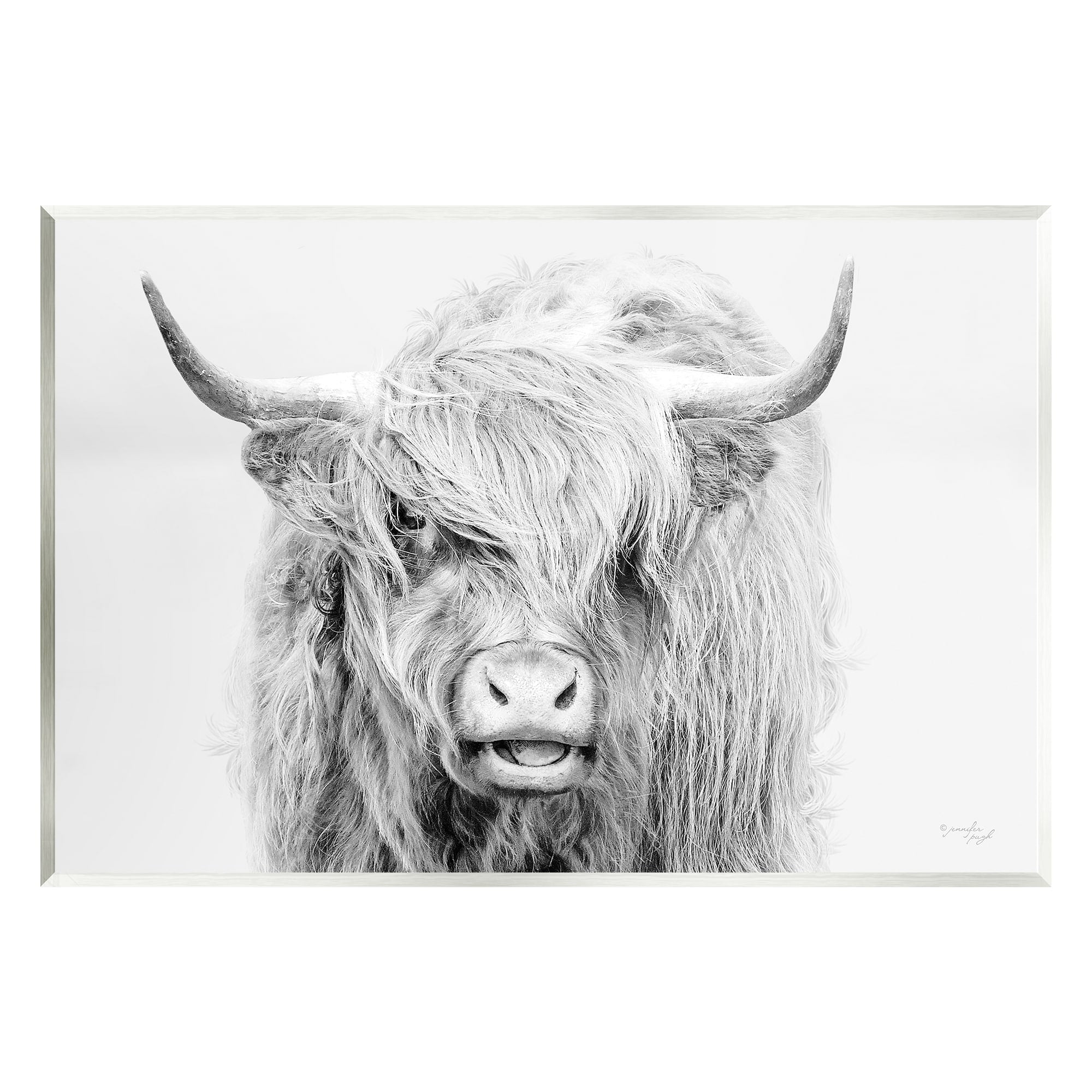 Stupell Industries Expressive Highland Cattle Monochrome Animal Portrait Photograph Unframed Art Print Wall Art, Design by Jennifer Pugh