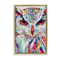 thumbnail image 1 of Stupell Industries Modern Expressive Owl Gaze Gold Floating Frame Canvas Art, 21 x 31, by Chromatic Storm Studio, 1 of 8