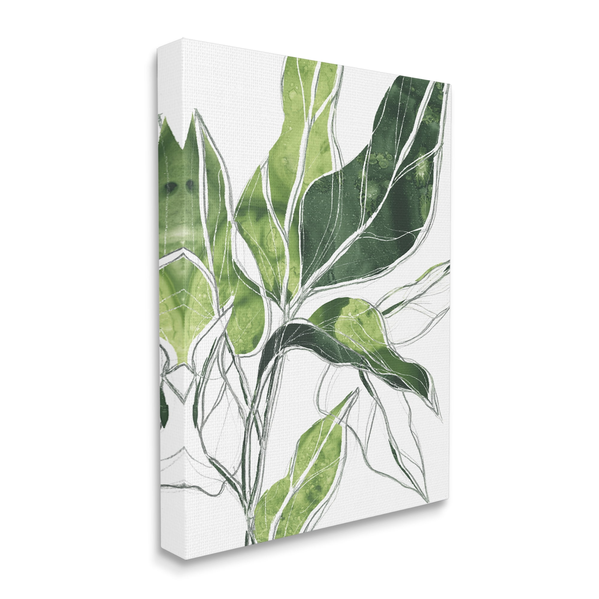 Stupell Industries Expressive Palm Linework Green Pop Detail Botanical & Floral Painting Gallery Wrapped Canvas Art Print Wall Art, 30 x 40