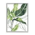 thumbnail image 1 of Stupell Industries Expressive Palm Linework Green Pop Detail Botanical & Floral Painting Gray Framed Art Print Wall Art, 11 x 14, 1 of 4