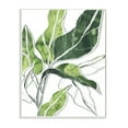 thumbnail image 1 of Stupell Industries Expressive Palm Linework Green Pop Detail Botanical & Floral Painting Unframed Art Print Wall Art, 10 x 15, 1 of 6