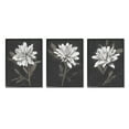 thumbnail image 1 of Stupell Industries Fable Lotus White Floral Bloom Graphic Art Black Framed Art Print Wall Art, Set of 3, Design by Nina Blue, 1 of 8