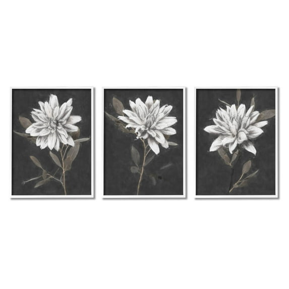 Stupell Industries Fable Lotus White Floral Bloom Graphic Art White Framed Art Print Wall Art, Set of 3, Design by Nina Blue